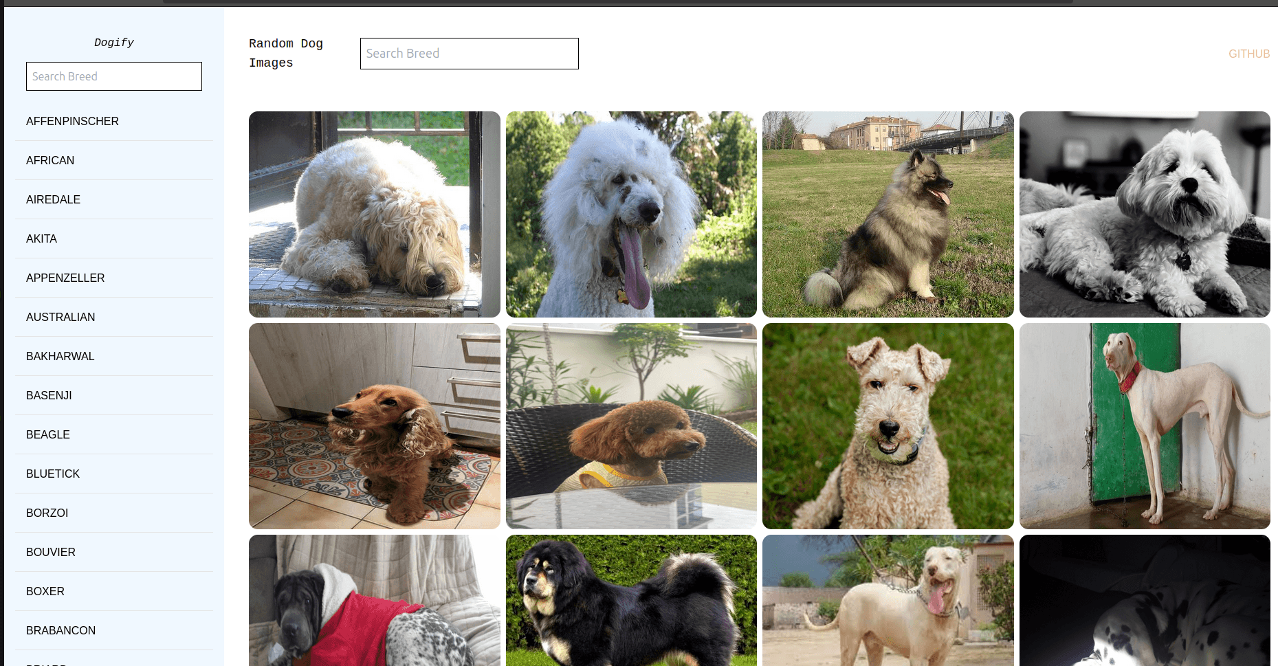 Dogify